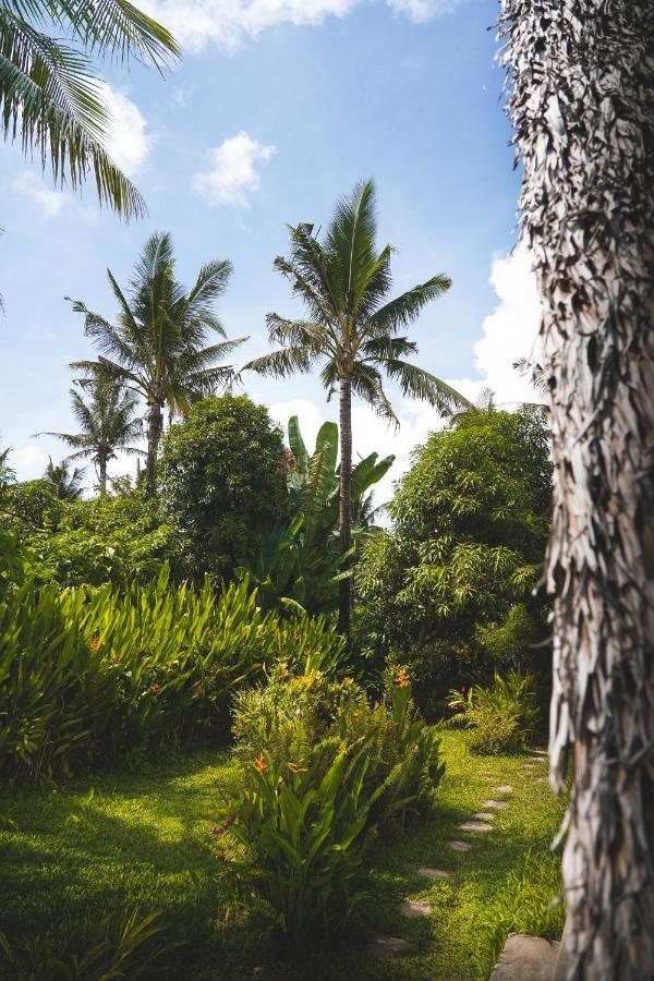 Vila Triangle Palms Siargao General Luna  Exteriér fotografie